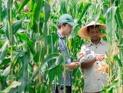 Sensus Pertanian 2023 Bakal Perkuat Akurasi Data Pertanian Indonesia