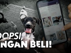 Adopsi, Jangan Beli!