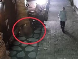 Kronologi Bule Kencing di Depan Rumah Warga Bali