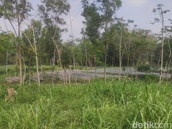 Melihat Calon Lokasi TPS Alternatif TPA Piyungan di Cangkringan Sleman