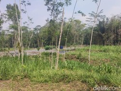 Pro Kontra TPS Cangkringan Pengganti TPA Piyungan, DLH Sleman: Hanya 2 Bulan