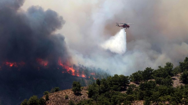 Pesawat pemadam kebakaran jatuh saat berupaya memadamkan api yang melalap hutan dan lahan di Yunani pada Selasa (25/7), menyebabkan dua pilot tewas.