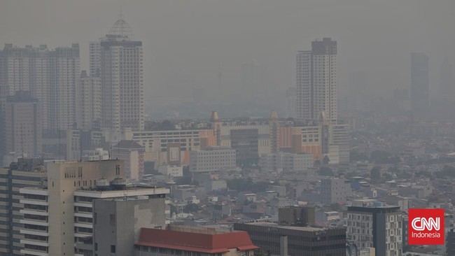 Pakar menilai pemerintah saat ini belum menggandeng ilmuwan untuk mengatasi masalah polusi udara.