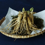 Manfaat Ginseng, Tanaman Herbal Berharga Bagi Masyarakat Korea Selatan