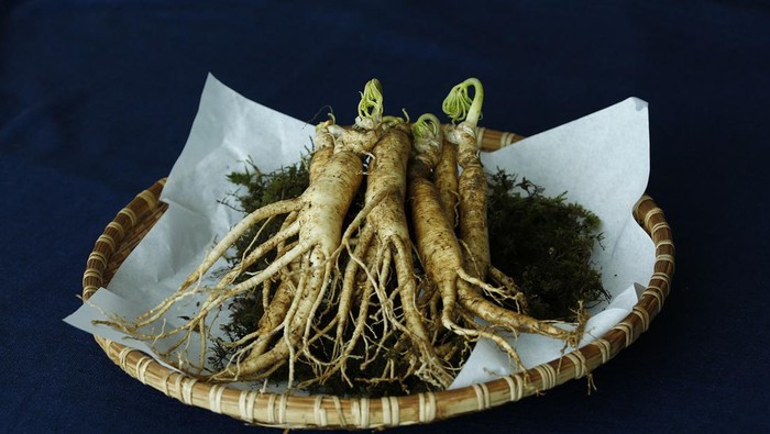Manfaat Ginseng, Tanaman Herbal Berharga Bagi Masyarakat Korea Selatan