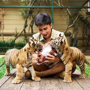Alshad Ahmad Akui 7 Harimau Peliharaan Sudah Mati