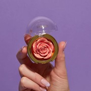 Selain Cantik dan Menggemaskan, 4 Blush On dengan Kemasan Unik Ini Bikin Tampilan Pipi Merona Alami