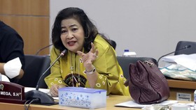 PAN Ungkap Alasan Usung Cinta Mega Jadi Caleg Usai Dipecat PDIP
