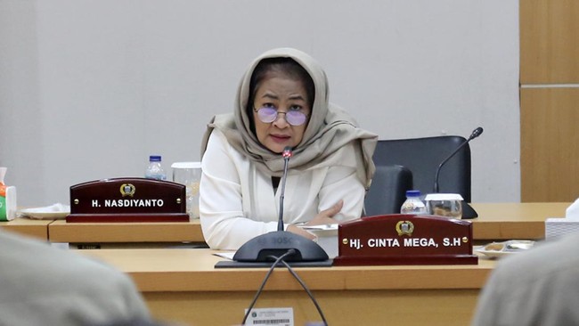 Ketua DPP PDIP Bidang Kehormatan Partai Komaruddin Watubun menyebut keputusan pemecatan Cinta Mega ada di tangan Ketua Umum Megawati.