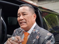 Risau, Hotman Minta Presiden Jokowi Tunda Aturan Pajak Hiburan 40 Persen