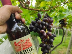 MUI Sebut Wine Halal Nabidz Menyalahi Standar Halal, Ini 5 Faktanya
