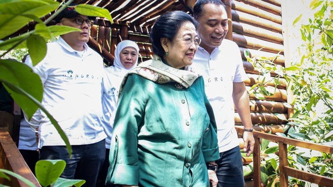 Ketua Dewan Pengarah BRIN Megawati Soekarnoputri minta para peneliti kerja keras lebih dulu, bukan malah memikirkan berapa duit.