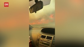 VIDEO: Detik-detik Mobil Terjang Kebakaran Hutan di Italia