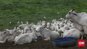 Tumbuhkan Ekonomi Warga, Desa Wonoagung Olah Limbah Ternak Jadi Biogas