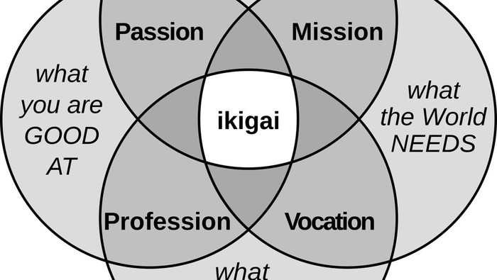 Diagram ikigai/ Foto: Wikipedia