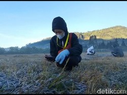 Senangnya Wisatawan Berburu Embun Es saat Dieng Minus 3,5 Derajat Celsius