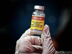 Peringati Hari Rabies, Pemkot Bandung Siapkan Vaksin Gratis