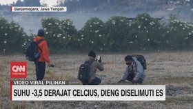 VIDEO: Suhu -3,5 Derajat Celcius, Dieng Diselimuti Es