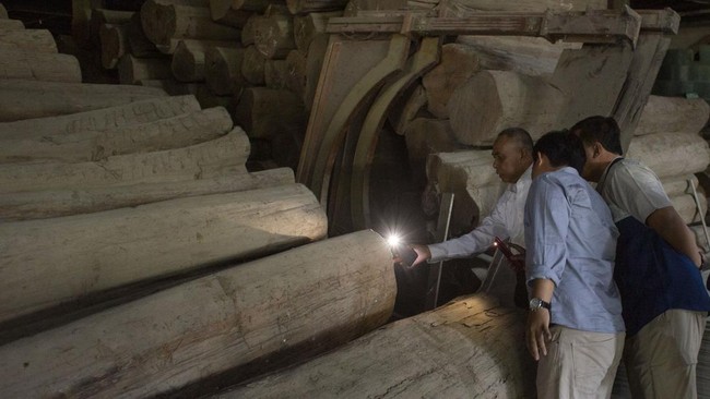 FOTO: Penampakan Bunker dan Galangan Kapal Ponpes Al Zaytun