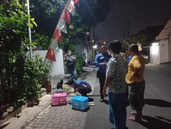 Kucing Liar Berliur Ditangkap Warga di Semarang, Khawatir Rabies