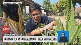 VIDEO: Sehari Menjadi Pengolah Daun Pandan