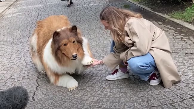 Toco, pria Jepang, menghabiskan dana jutaan Yen buat kostum anjing demi mewujudkan impian masa kecilnya jadi binatang.