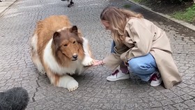 Hobi Unik Pria Jepang, Habiskan Rp214 Juta Demi Jadi Anjing