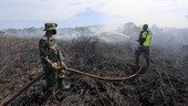 warga-aceh-barat-tercekik-kabut-asap-dampak-karhutla-1_169