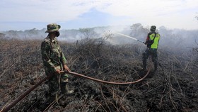 244 Hektare Tahura R Soerjo di Jatim Diduga Dibakar Pemburu Satwa Liar