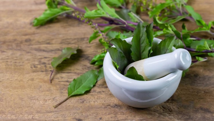 1412904817 Tulsi or Holy basil leaf in mortar with pestle on rustic wooden table. Tulsi is used in ayurvedic medicine.