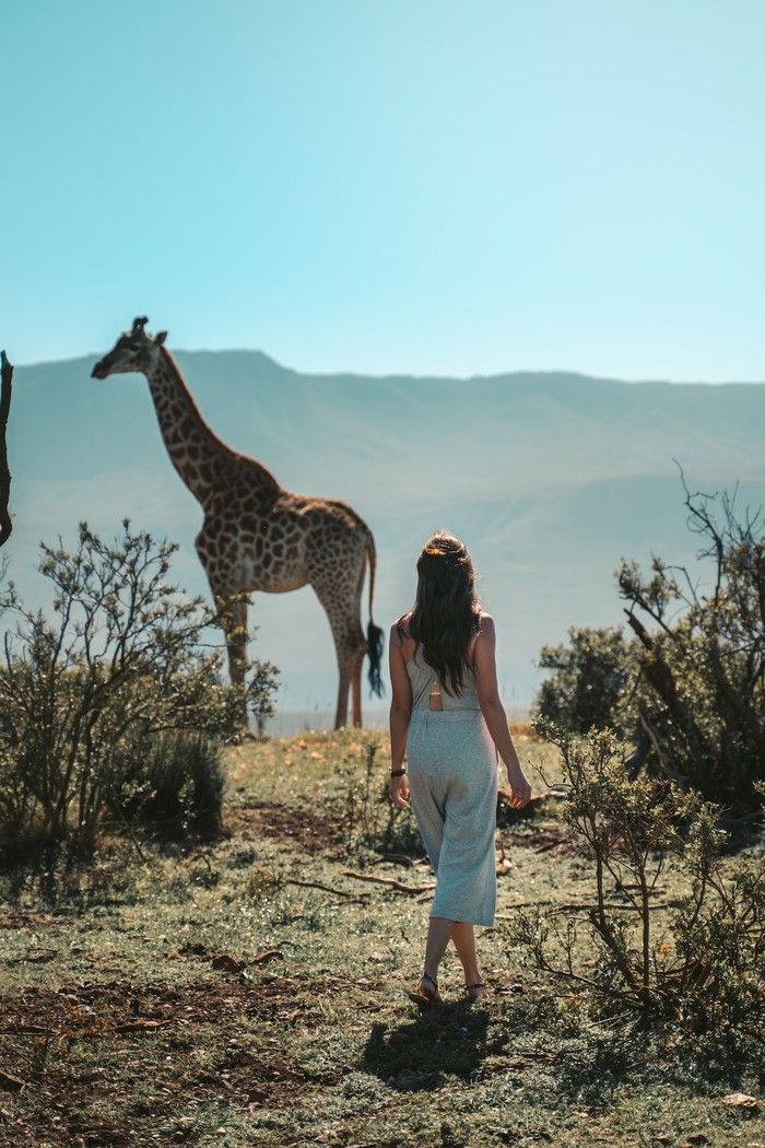 Capricorn - Safari Afrika/Sumber: Pexels/Taryn Elliott