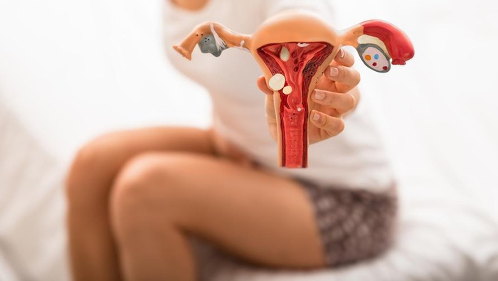 Ilustrasi Vagina
