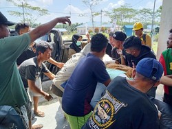 Wanita Pekerja Sawit di Kalbar Diterkam Buaya hingga Diseret ke Sungai