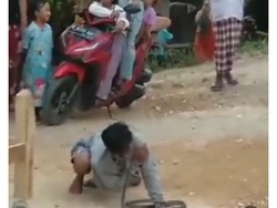 Viral Pria Grobogan Tewas Usai Hidung Dipatuk Kobra saat Atraksi Ngamen