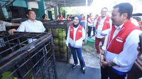 Dirut Pertamina Pastikan Pasokan LPG 3 Kg di Sumatra Selatan Aman