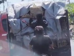 Bajing Loncat Curi Telur dari Mobil Pikap di Jalin Medan-Aceh Ditangkap