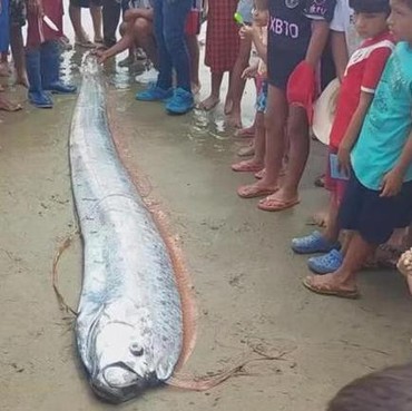 Fenomena Oarfish ke Daratan Dikaitkan, Ini Tanda-tanda Kiamat Dalam Islam
