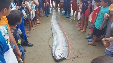 Fenomena Oarfish ke Daratan Dikaitkan, Ini Tanda-tanda Kiamat Dalam Islam