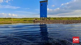 Cerita Pelindung Gambut Muara Siran Bernama Sarang Walet