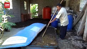 VIDEO: Gunakan Bio Gas, Warga Desa Tak Resah Gas LPG 3 Langka