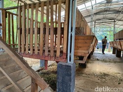 Jejak Pencuri 3 Kambing Milik Panti Asuhan di Depok yang Sisakan Jeroan