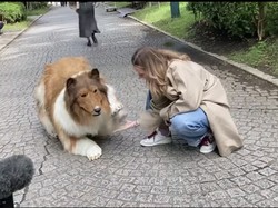Pria Jadi Anjing di Jepang Mau Pacar yang Pakai Kostum Juga