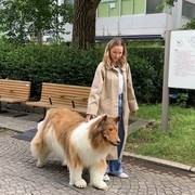 Viral Pria Jepang Rela Habiskan Rp240 Juta untuk 'Berubah' Jadi Anjing, Ini Potretnya saat 'Jalan-jalan' di Taman!