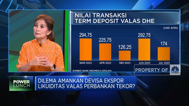 Jokowi Amankan Devisa Ekspor, Likuiditas Valas di Bank Aman?