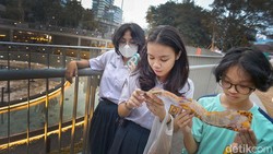 Apa Itu Gen Beta? Kenali Perbedaannya dengan Gen Alpha dan Gen Z