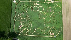 FOTO: Bermain di Labirin Mickey Mouse, Rayakan 100 Tahun Disney