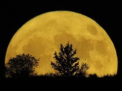Jadwal Fenomena Full Moon dari Januari-Desember 2025, Kapan Saja?
