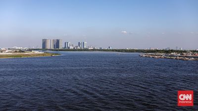 Airlangga Tendang Proyek PIK 2 Milik Aguan dari Daftar PSN Prabowo