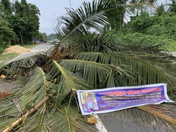 Masyarakat Adat di Jayapura Palang Jalan Provinsi, Tuntut Ganti Rugi Tanah