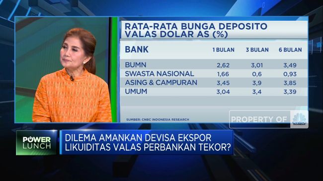 Tampung Devisa Sebanyak-banyaknya, Bank Butuh Insentif Apa?